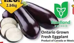 Starsky Foodland Ontario Grown Fresh Eggplant offer