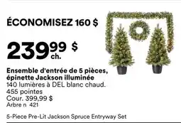 Michaels Ensemble d'entrée de 5 pièces, épinette Jackson illuminée offer