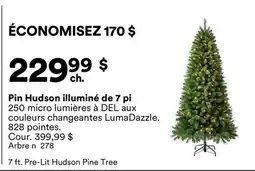Michaels Pin Hudson illuminé de 7 pi offer