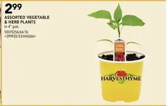 RONA Assorted Vegetable & Herb Plants offer