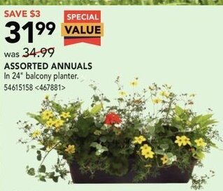 RONA Assorted annuals offer