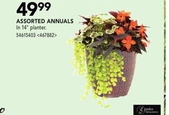 RONA Assorted annuals offer