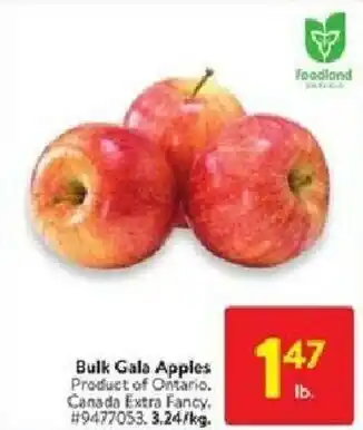 Walmart Buulk gala apples offer