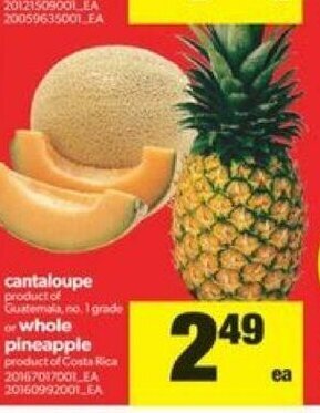 Real Canadian Superstore Cantaloupe offer