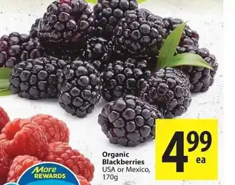 Organic blackberries