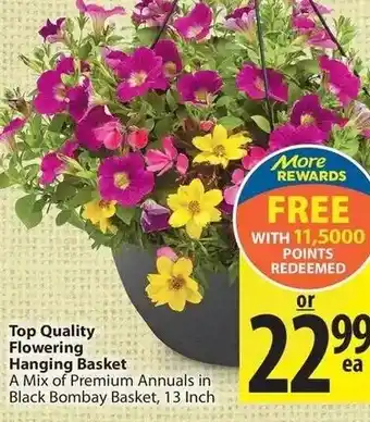 Save on Foods Top quality flowering hanging basket offer