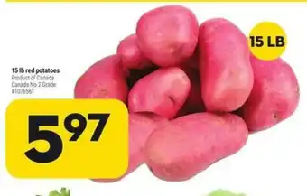 Giant Tiger 15 lb red potatoes offer