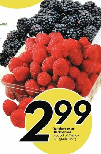 Sobeys Raspberries or Blackberries offer