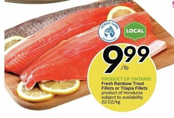 Sobeys Fresh Rainbow Trout Fillets or Tilapia Fillets offer
