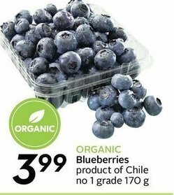 Sobeys Blueberries offer