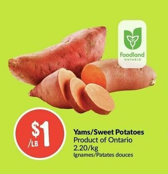 FreshCo Yams/Sweet Potatoes offer