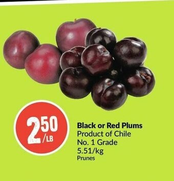 FreshCo Black or Red Plums offer