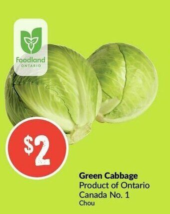 FreshCo Green Cabbage offer