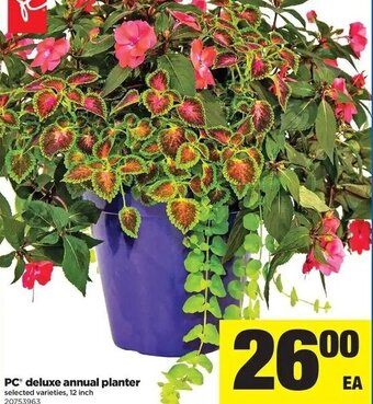 Real Canadian Superstore Pc Deluxe Annual Planter offer