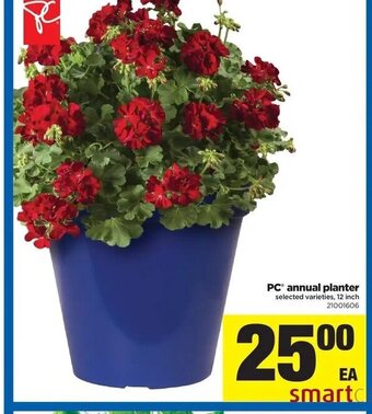 Real Canadian Superstore Pc Annual Planter offer