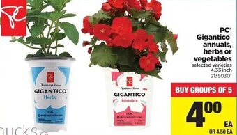 Real Canadian Superstore Pc Gigantico Annuals Herbs Or Vegetables offer