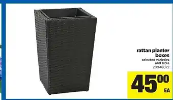 Real Canadian Superstore Rattan Planter Boxes offer
