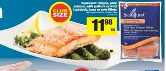Real Canadian Superstore Seaquest offer
