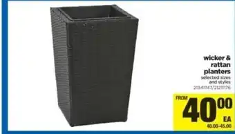 Real Canadian Superstore Wicker & rattan planters offer