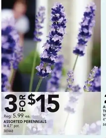 Lowe's Assorted perennias offer