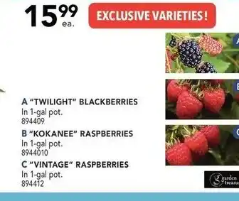 Exclusive varieties