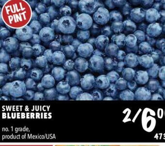 Farm Boy Blueberries offer
