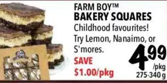 Farm Boy Bakery squares offer