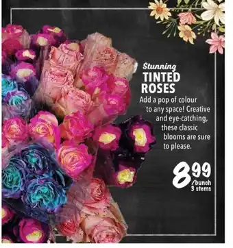Farm Boy Tinted roses offer