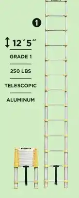 Canadian Tire Metaltech Ladder offer