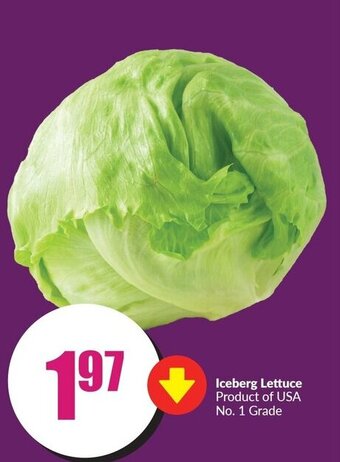 FreshCo Iceberg lettuce offer
