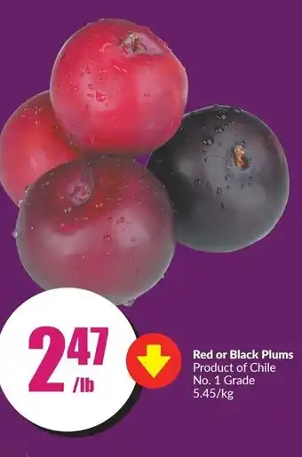 FreshCo Red or black plums offer