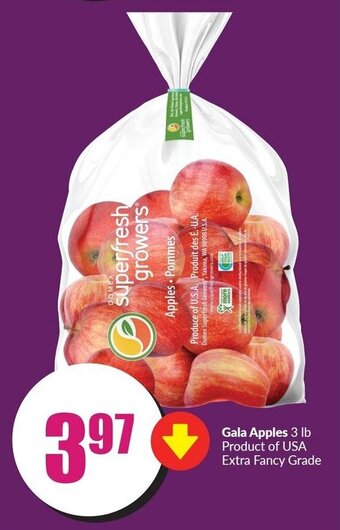 FreshCo Gala apples offer