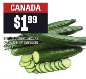 English Cucumbers