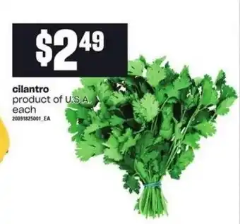 Atlantic Superstore Cilantro offer