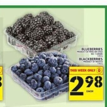 Food Basics Blueberries offer