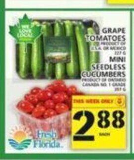 Food Basics Grape Tomatoes offer
