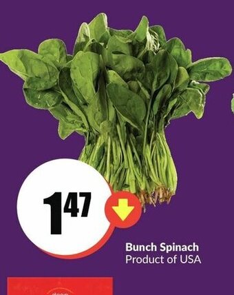 FreshCo Bunch spinach offer