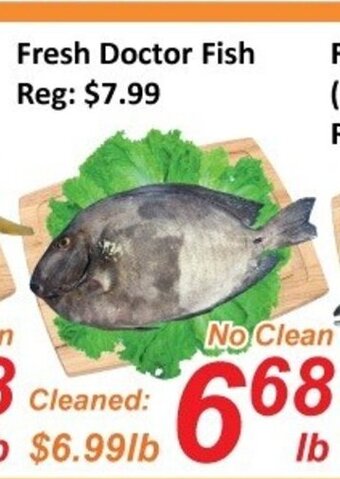Fresh Win Foodmart Fresh Doctor Fish offer