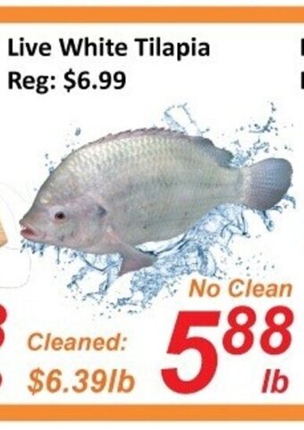 Fresh Win Foodmart Live White Tilapia offer