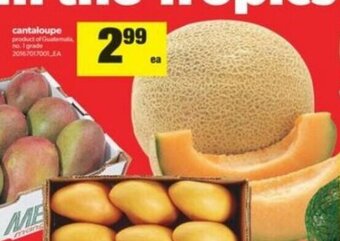 Real Canadian Superstore Cantaloupe offer