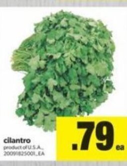 Real Canadian Superstore Cilantro offer