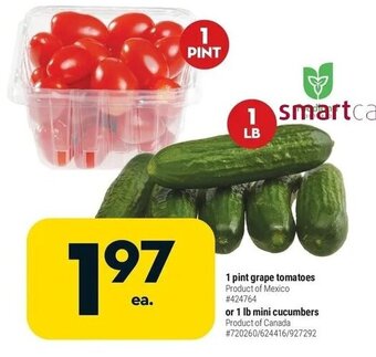 Giant Tiger 1 pint grape tomatoes offer