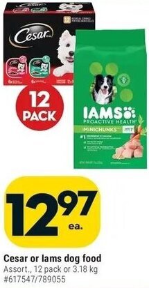 Giant Tiger Cesar or lams dog food offer