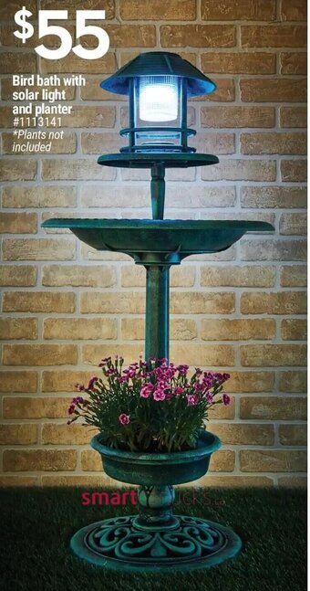 Giant Tiger Bird bath with solar light and planter offer