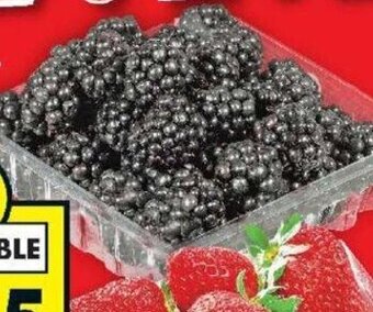 Food Basics Blackberries offer