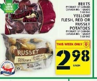 Food Basics Beets offer
