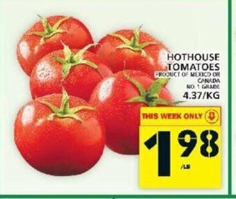 Food Basics Hothouse tomatoes offer