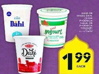 Food Basics Hans or Khaas dahi cedar Phoenicia Halal offer