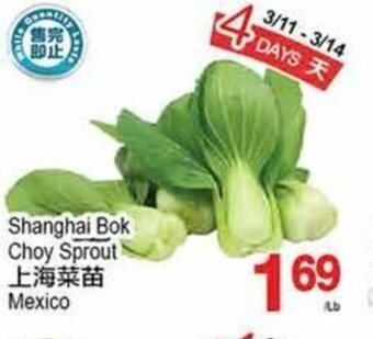 T&T Supermarket Shanghai bok choy sprout offer