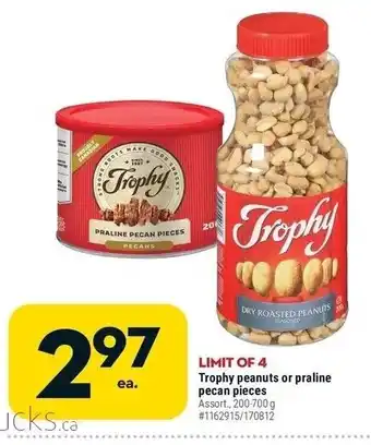 Giant Tiger Trophy peanuts or praline pecan pieces offer